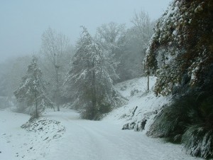 lac et neige 007 web