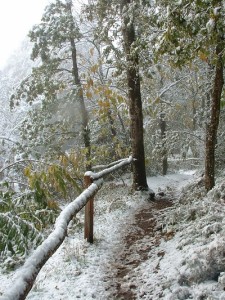 lac et neige 014 web